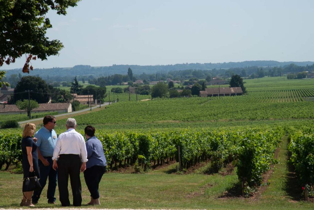 People next to a vineyard